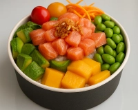 POKE SAUMON 500ml